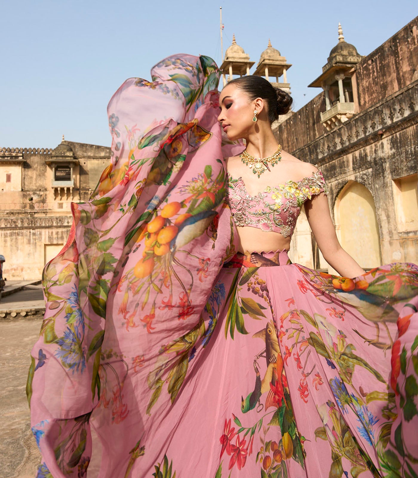 Janhvi Applique Skirt Set